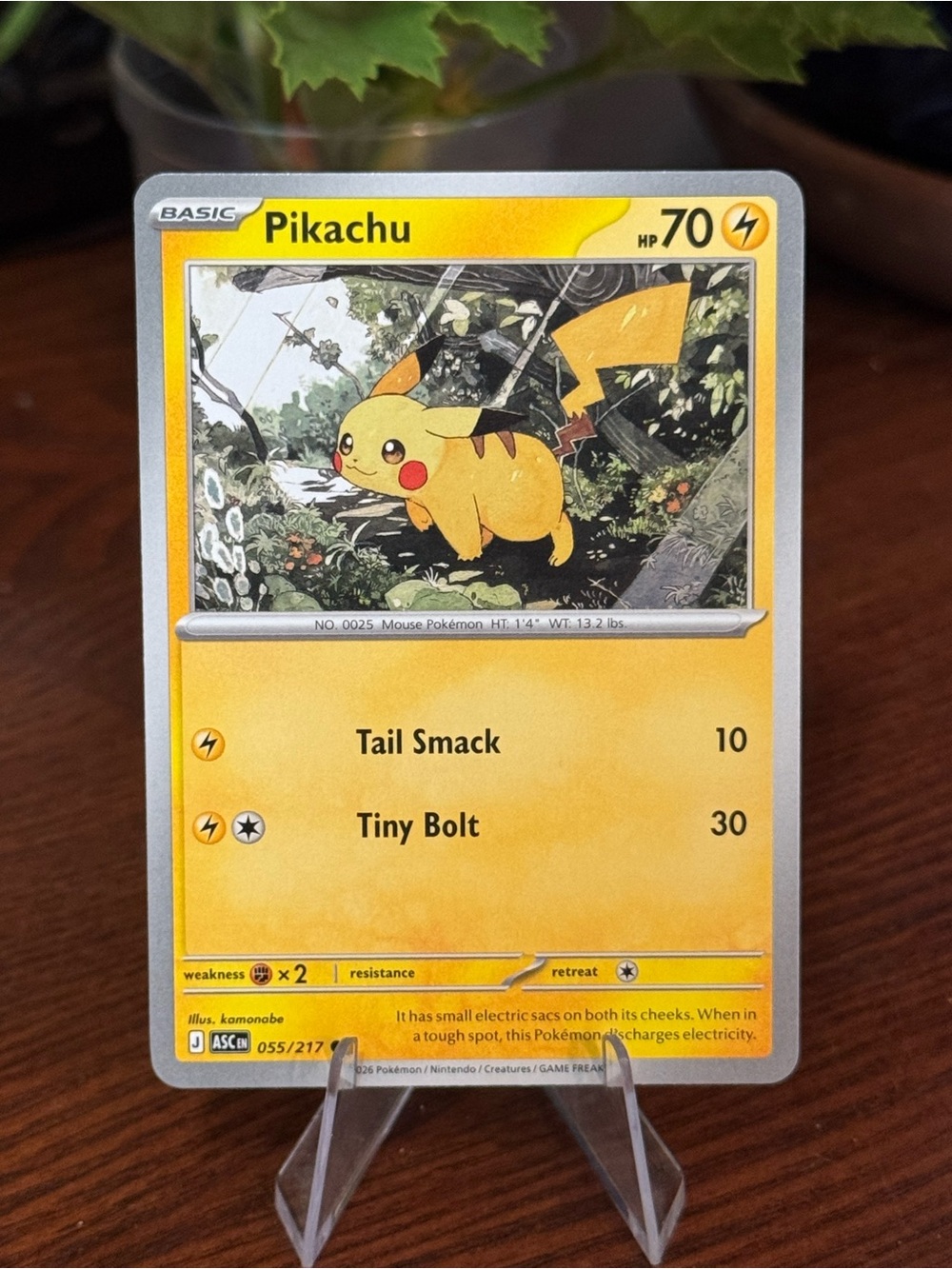 Pikachu Pokémon Ascended Heroes Regular